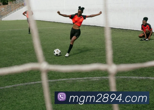 美高梅官网首页平台生态图