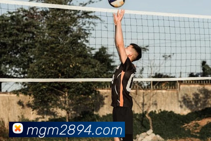 美高梅官网首页APP 封面图